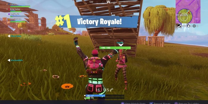 1920x1080 Fortnite Victory Royale Computer Background 1476 1920x1080 px