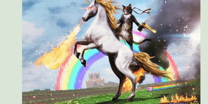 1600x1051 History of the Microsoft 'Ninja Cat on a Unicorn' (and how to get
