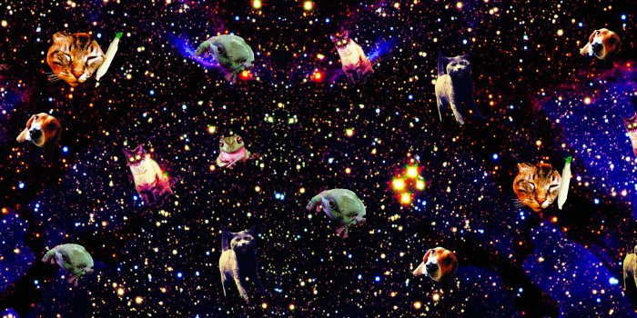 2350x940 44+] Space Kitty Wallpaper on WallpaperSafari