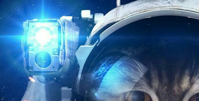 687x1280 Space kitty | Funny Animals in 2019 | Space cat, Outer space