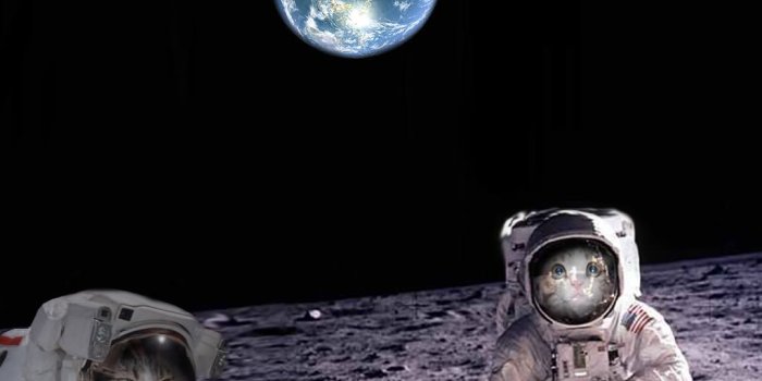 1024x768 30 Most Funny Space Pictures And Photos