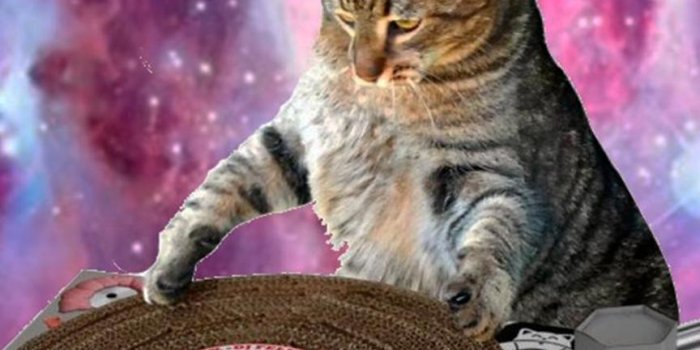 864x1656 Space Cat Funny Cute Galaxy Wallpaper 4K Lock for Android - APK Download