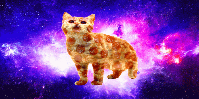 1920x1080 I present to you: Pizza cats in space - Album on Imgur