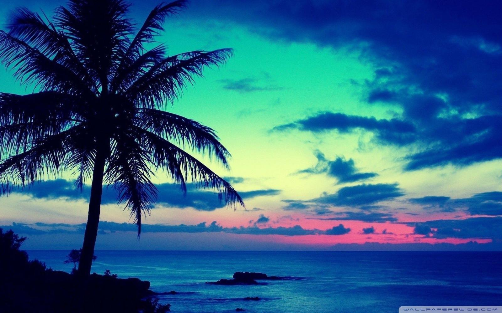 1920x1200 55+ Tropical Beach Sunrise Wallpapers - Download at WallpaperBro