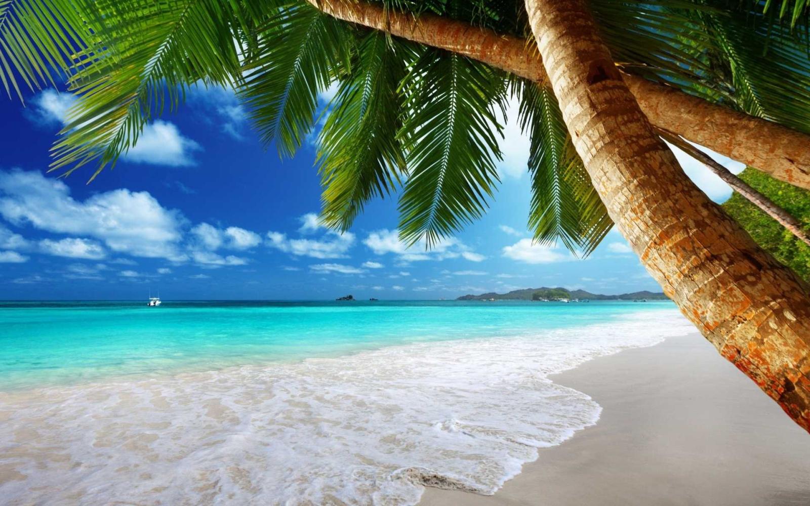 1920x1200 Tropical Beach Landscape Wallpapers - Top Free Tropical Beach