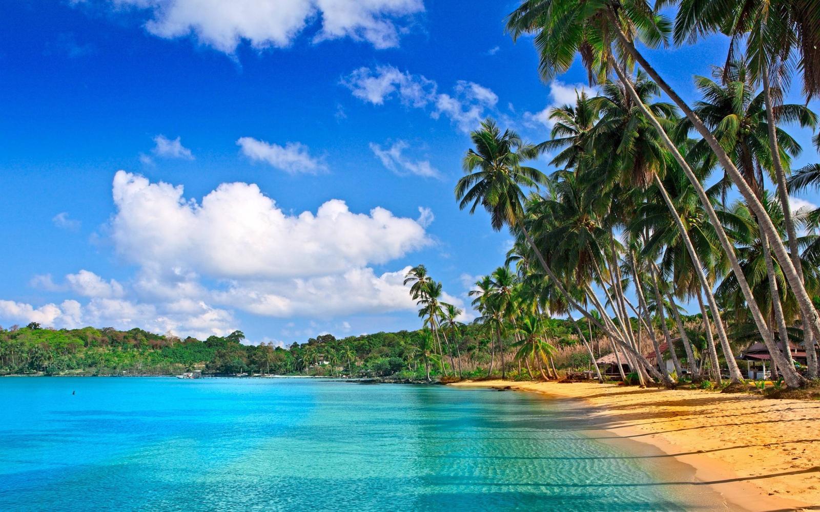 2560x1600 Free Tropical Desktop Backgrounds