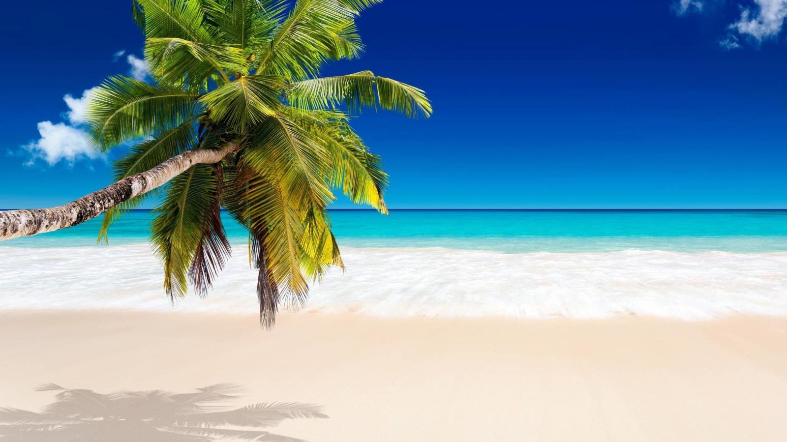 2500x1406 Tropical Beach Desktop Wallpapers (69+ background pictures)