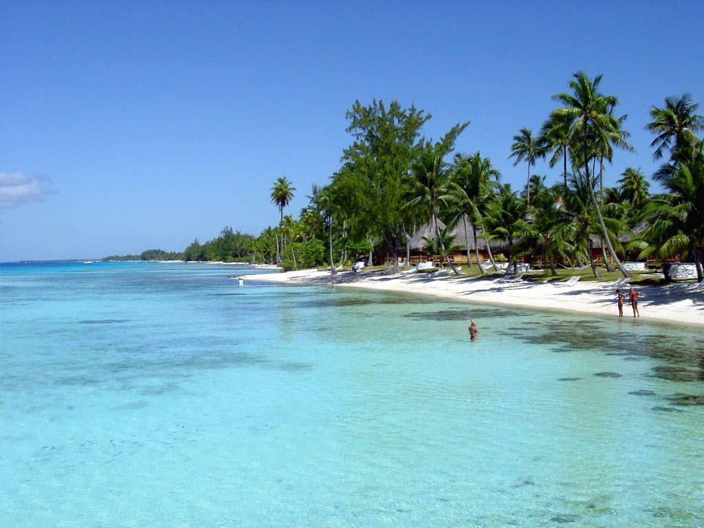 1024x768 Free Tropical Desktop Backgrounds