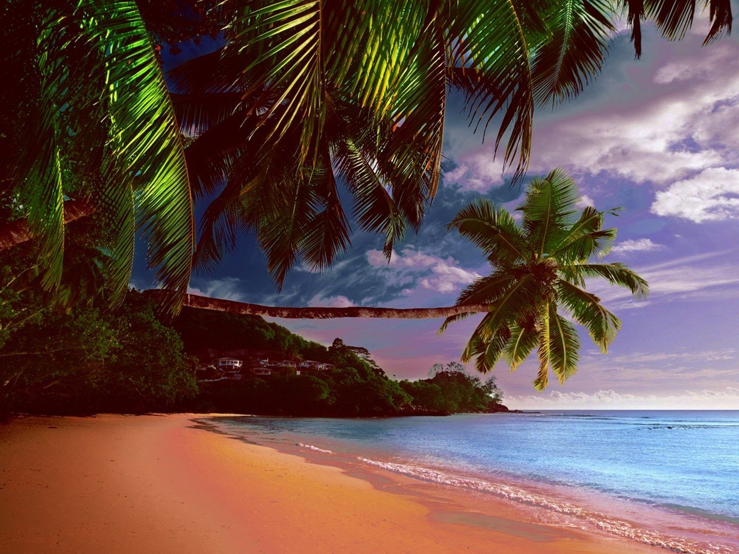 1440x1080 Beaches: Ocean Paradise Beach New Island Sea Trees Tropical Palm