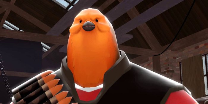 1280x720 meet the pootis bird[sfm]