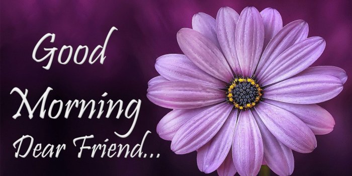 1920x1080 Good Morning Images For Friends | Morning Greetings & Wishes