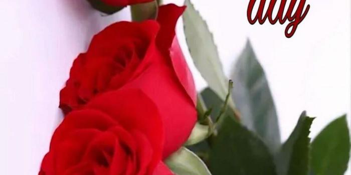 1060x1582 Good Morning Friends - Good Morning Friend With Roses (#306187) - HD