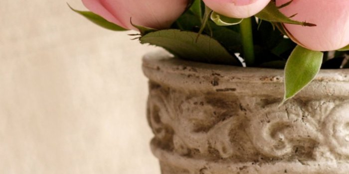 1080x1920 Light Pink Roses iPhone Wallpaper HD