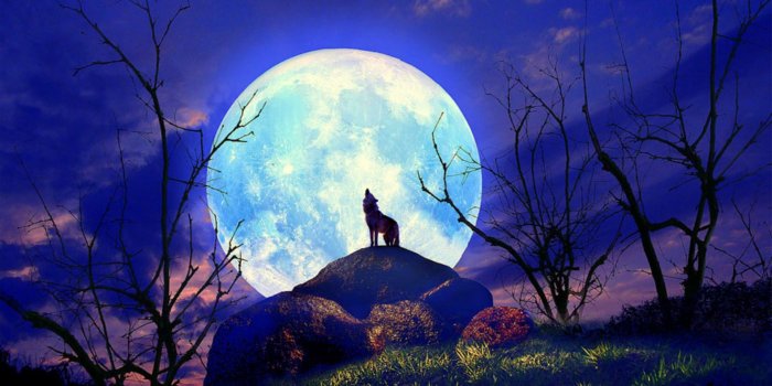 1920x1080 Beautiful Moon Wallpaper (#153690) - HD Wallpaper Download