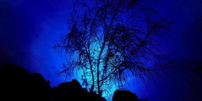 1280x1024 50+ Blue Moon at Night Wallpapers - Download at WallpaperBro