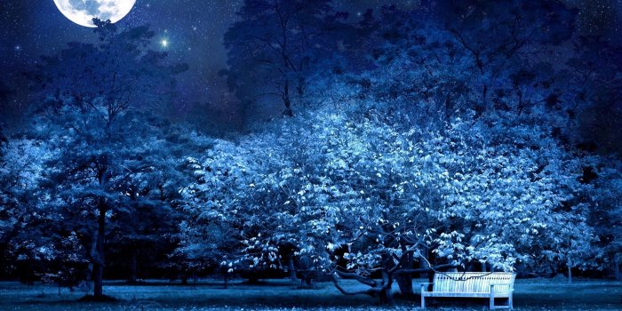 2560x1600 Moon Bench Blue Forests Garden Wallpaper - Night Moon Wallpaper Blue