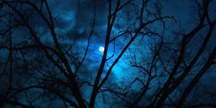 1024x768 Wallpapers Tagged With Moon Page 14: Field Scenery Moon Flowers