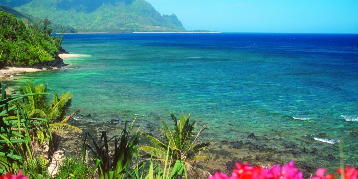 1600x1120 69+] Hawaii Beach Wallpaper on WallpaperSafari