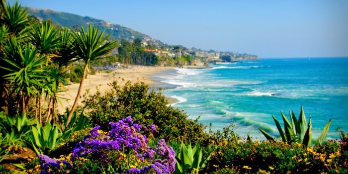 1366x768 60+ Hawaii Coast Wallpapers - Download at WallpaperBro