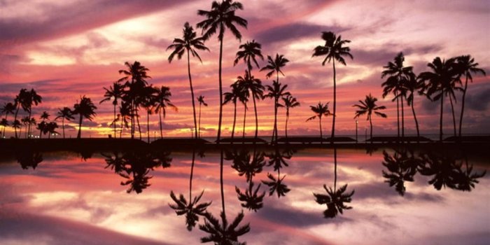 1024x768 Ala Moana Beach Park, Honolulu, Oahu, Hawaii - Hd Wallpaper Beach