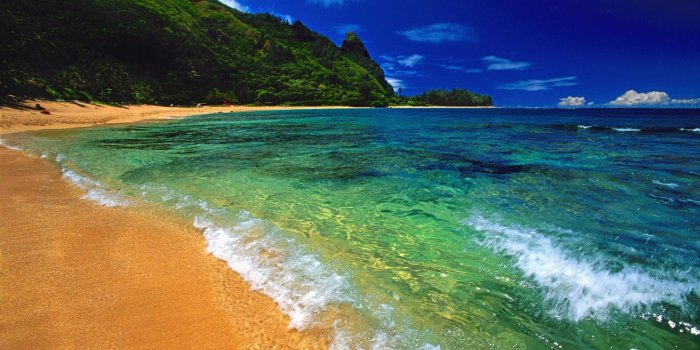 1920x1080 40+ Best Hawaii Beach Wallpapers - Download at WallpaperBro