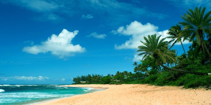 3000x2000 Hawaii beach background Gallery