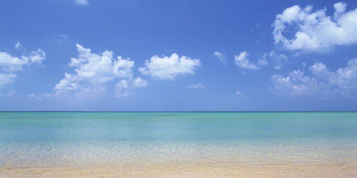 1680x1050 Hawaii Beach Wallpaper (30+ images) on Genchi.info