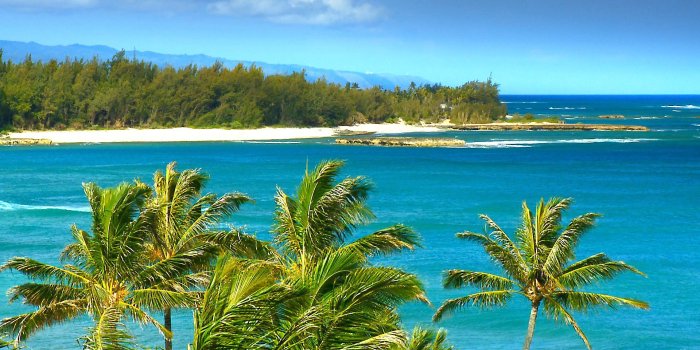 1920x1080 69+ Hawaii Beaches Wallpapers on WallpaperPlay