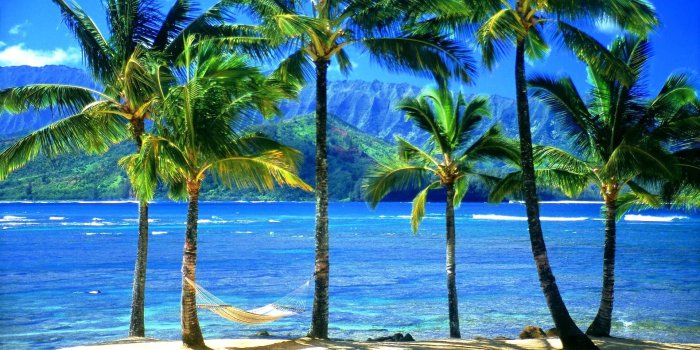 1920x1080 Hawaii beach wallpaper Gallery