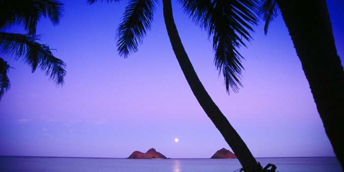 1920x1080 Dusk Palms Mokulua Hawaii Beach Lanikai Islands Oahu Beaches