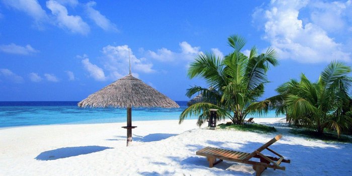 1600x896 Page 1189 - Hawaii Beach Palm Trees (#1032544) - HD Wallpaper Download