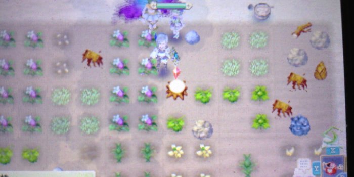 1600x1200 TDN-Shumi Blog: Rune Factory 4 Review(?)