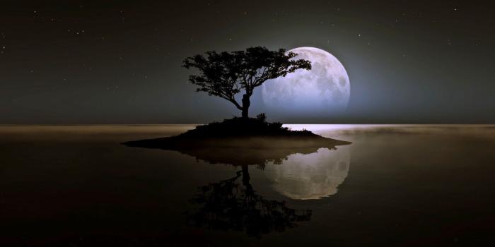 1600x1000 Free download Alone But Happy Wallpaper 240x320 Alone Alone But