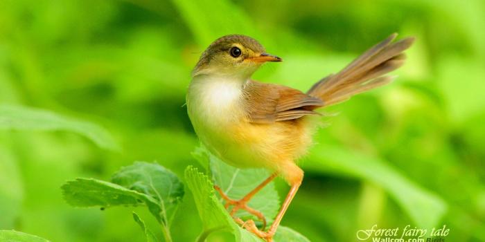 1920x1200 Alone But Happy wallpaper - 1419328