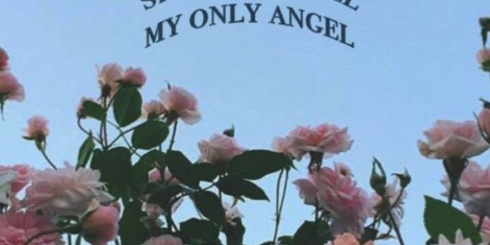 719x1280 Aesthetic uploaded by Julie R on We Heart It