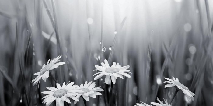 1600x1200 Black And White Wallpapers