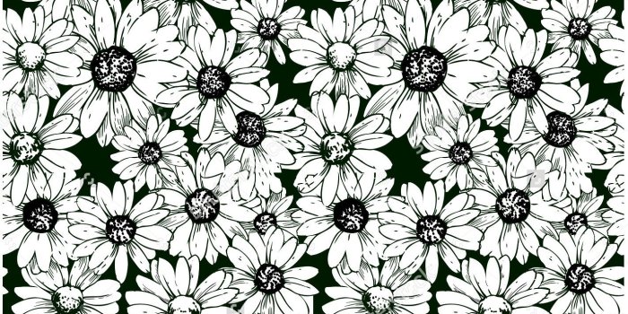 1422x1296 Daisy Flower Background Black And White - Flowers Healthy