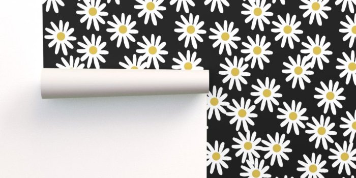 1024x1024 daisy // daisies flowers florals flower on Isobar by andrea_lauren