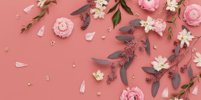 5120x2880 55+ Pink Flower Desktop Wallpapers - Download at WallpaperBro