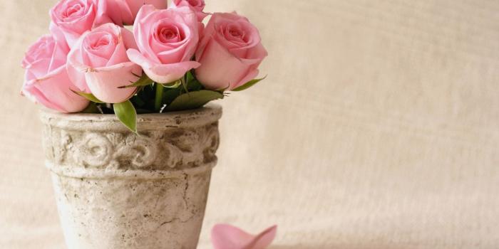 1440x900 10 Wallpaper Hd Bunga Pink - Download Wallpaper HD For PC Computer