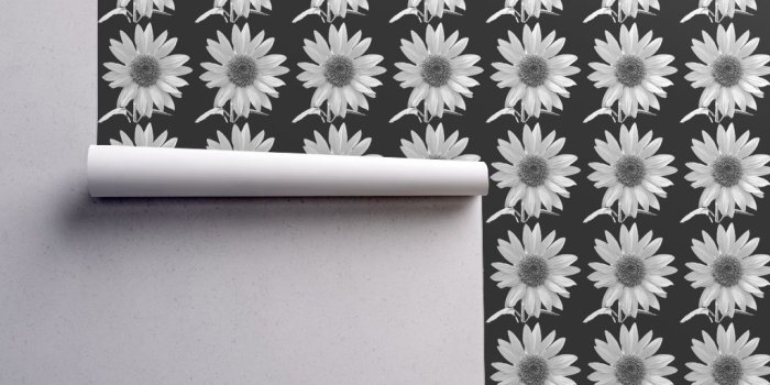 1024x1024 black and white -daisy wallpaper - koalalady - Spoonflower