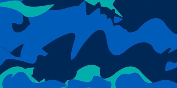 1242x2208 Bape Camo Wallpaper HD (64+ images)