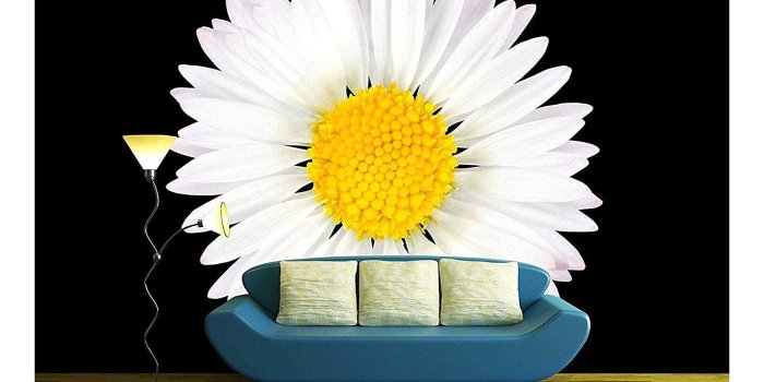 1500x1125 wall26 - Daisy Flower Isolated on Black Background - White with Yellow  Center - Removable Wall Mural | Self-adhesive Large Wallpaper - 100x144  inches