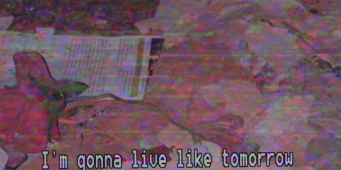 1440x1440 city_of_roses_ Instagram Profile | Picdeer