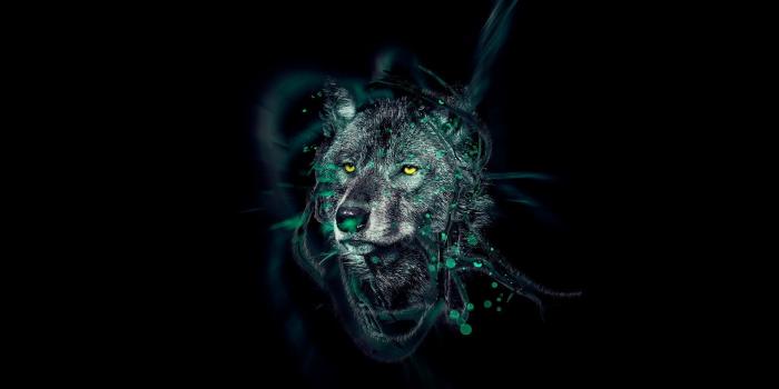 1920x1200 Neon Wolf Wallpaper (54+ images)