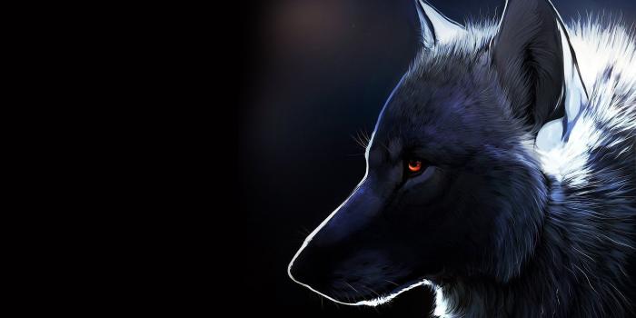 1920x1200 Neon Wolf Wallpaper (54+ images)