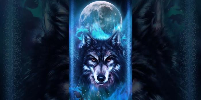 1280x720 Neon Wolf Wallpapers - Top Free Neon Wolf Backgrounds - WallpaperAccess