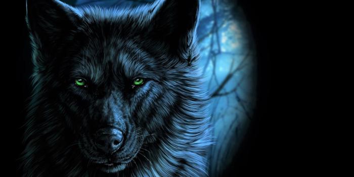 2560x1600 Neon Wolf Wallpaper (54+ images)