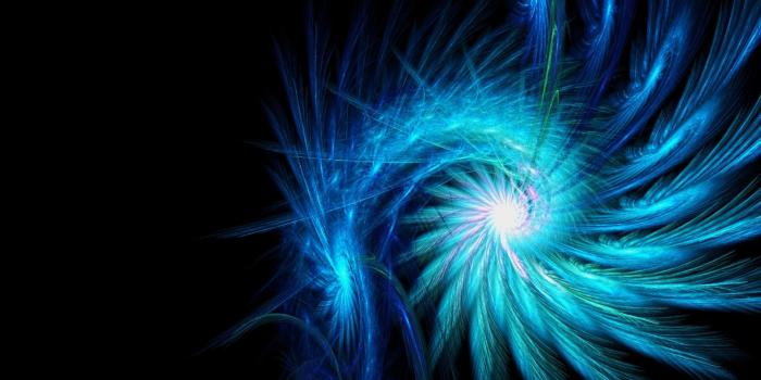 3840x2160 Neon Wolf Wallpaper (54+ images)