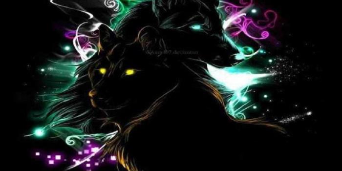 1440x900 Free download NEON WOLVES WALLPAPER 81979 HD Wallpapers